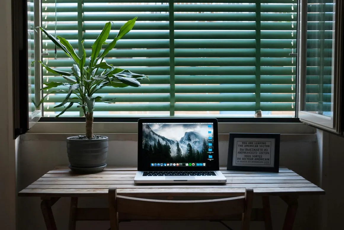 minimal workspace with laptop and plant near window creating a calm focused environment